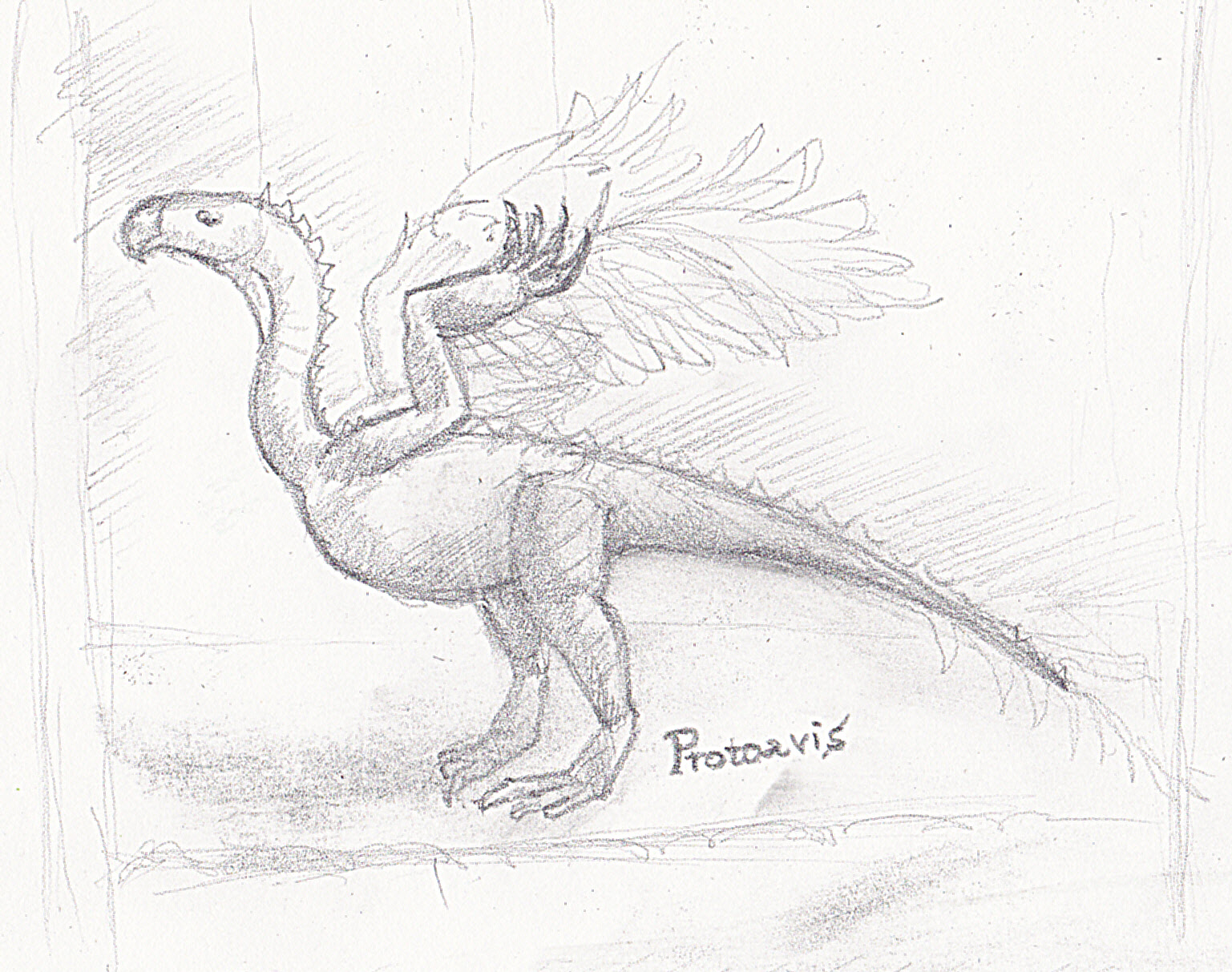 #16 - Protoavis: The "Earlier Bird" That Might Just Be a Jumbled Mess
