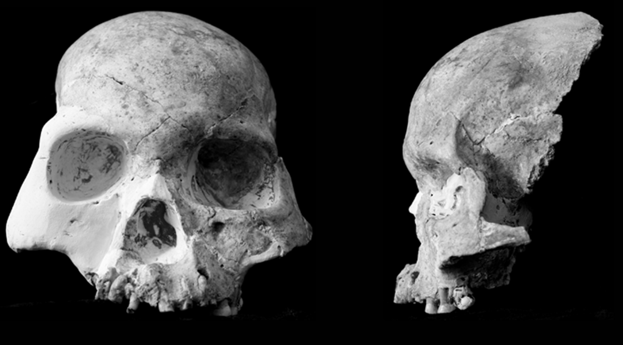 #5 - The Red Deer Cave People Who Shouldn't Have Existed That Recently
