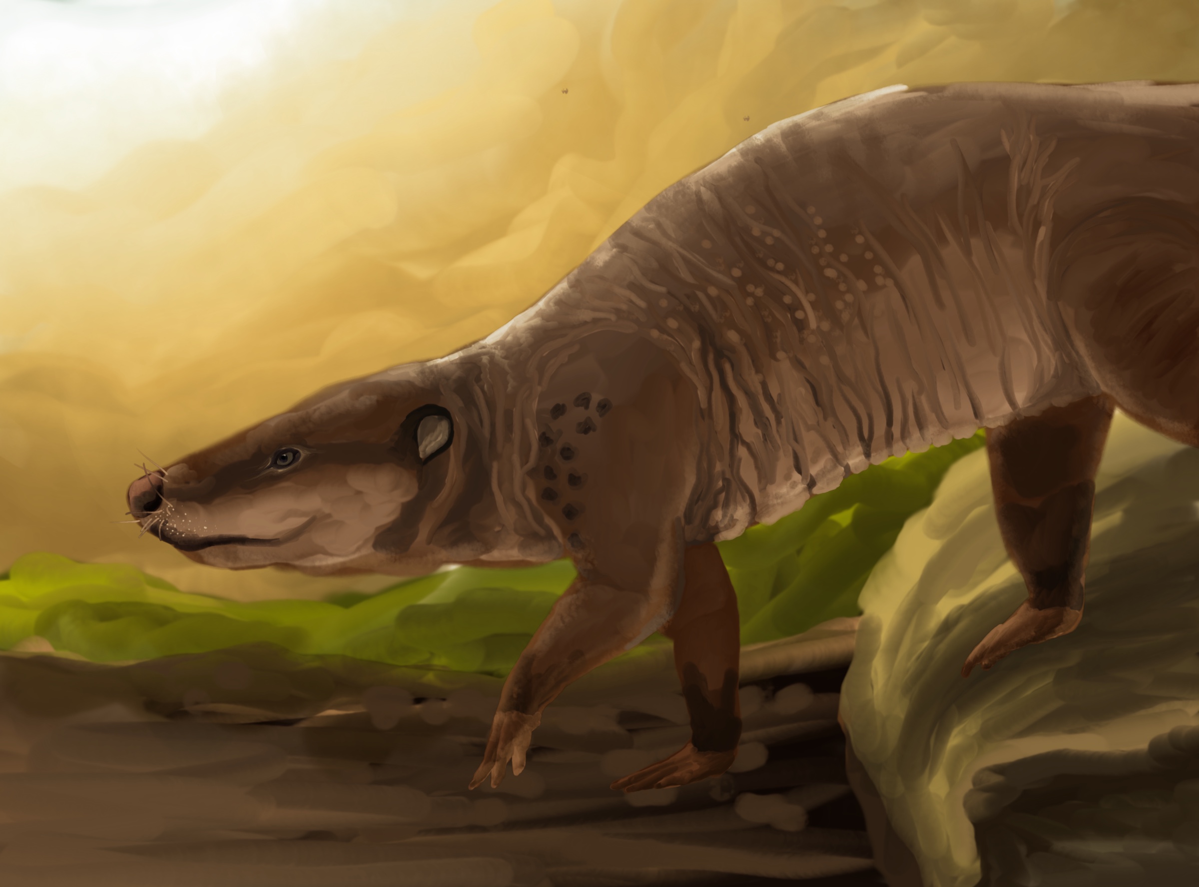 Nighttime Hunters in a Dinosaur’s Daytime World