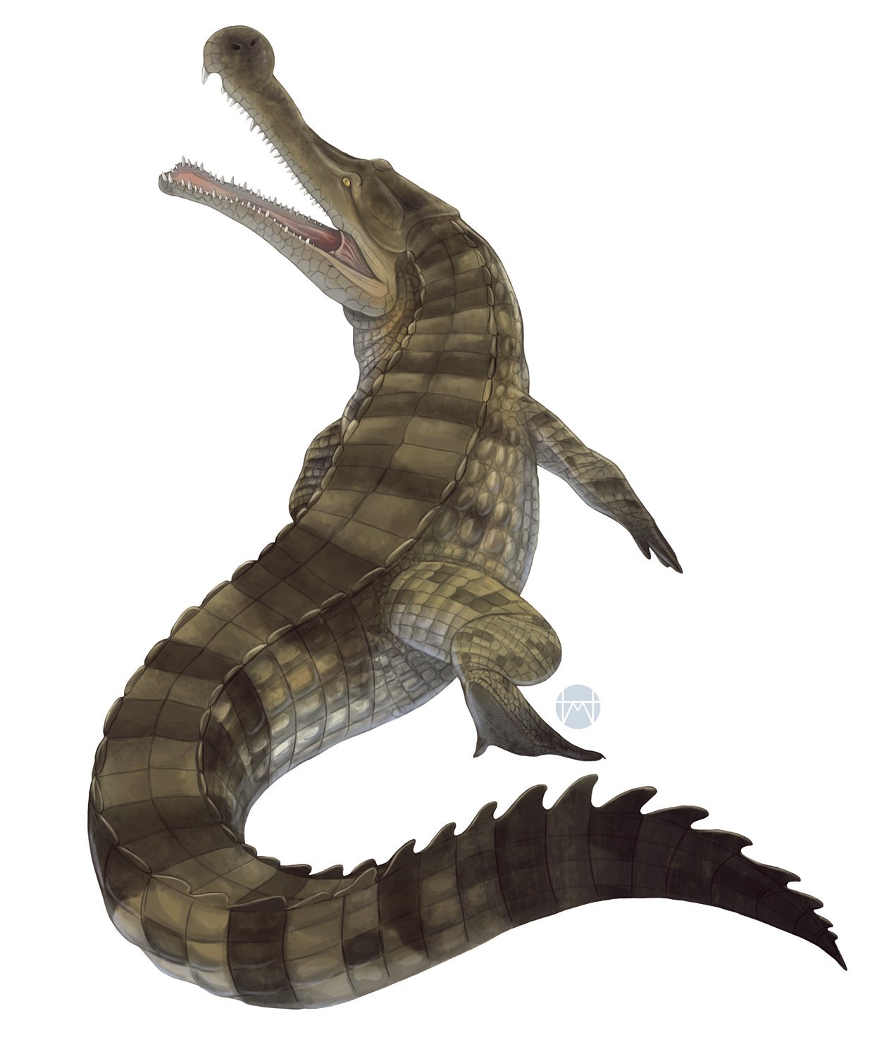 Sarcosuchus: The “Super Croc” That Owned the Rivers