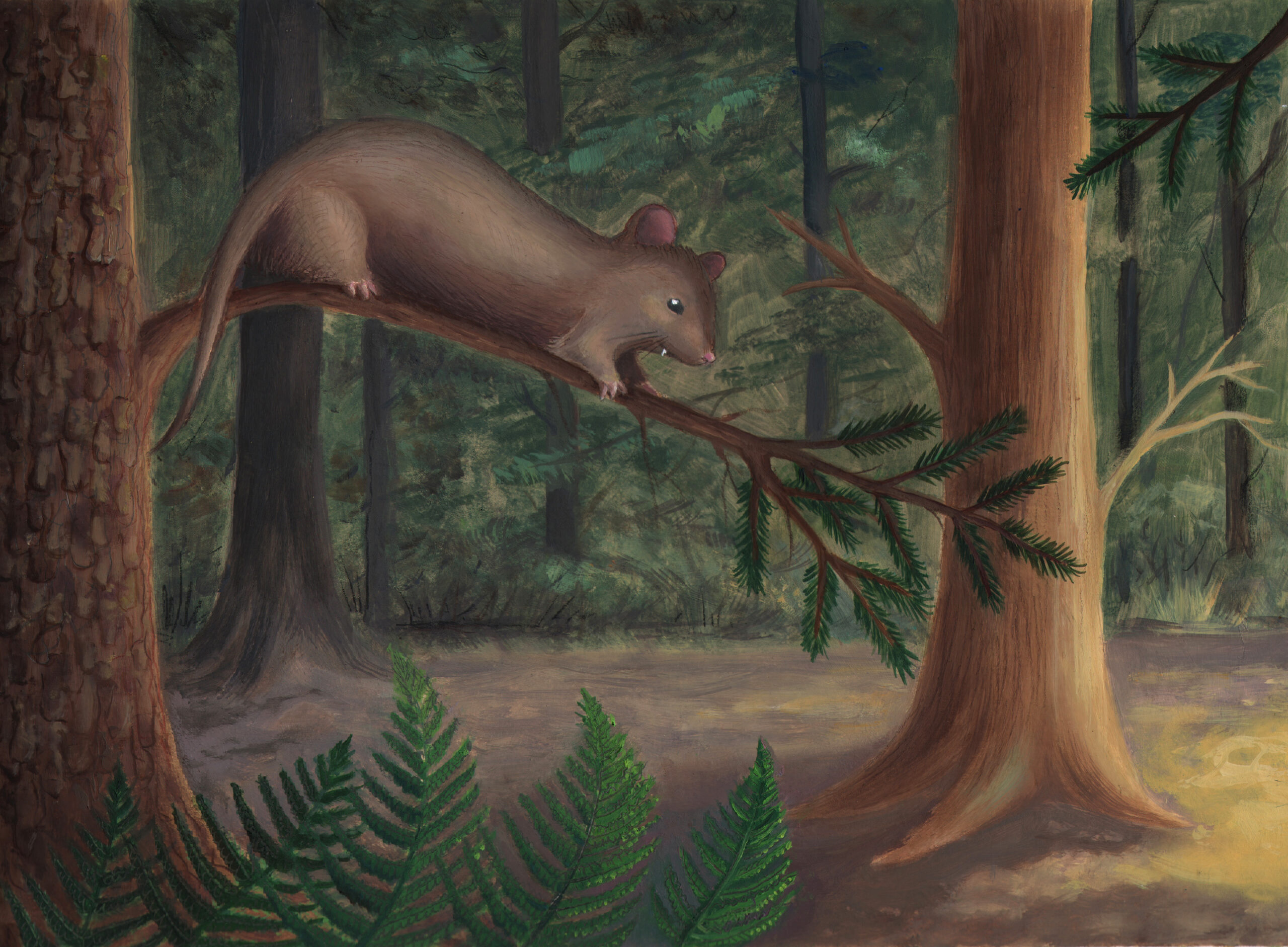 From Tiny Survivor to Ancestor of Lions, Whales, Bats, and You