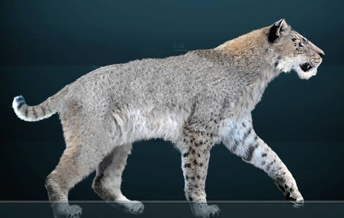 #6 - Homotherium, the Scimitar Cat Built for Speed, Not Ambush