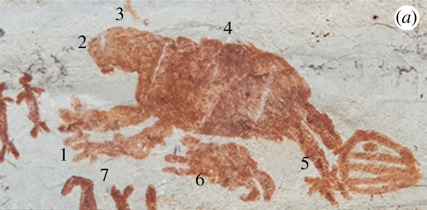 #2 - The Giant Ground Sloth Shadows