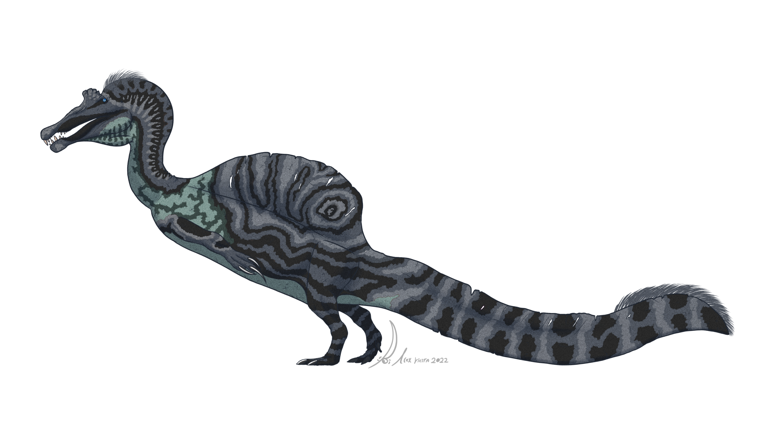 #10 - Sigilmassasaurus brevicollis: The Dinosaur That Might Not Exist