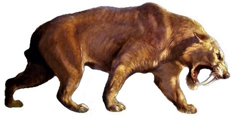 #2 - Smilodon: The Saber-Tooth Everyone Thinks They Understand