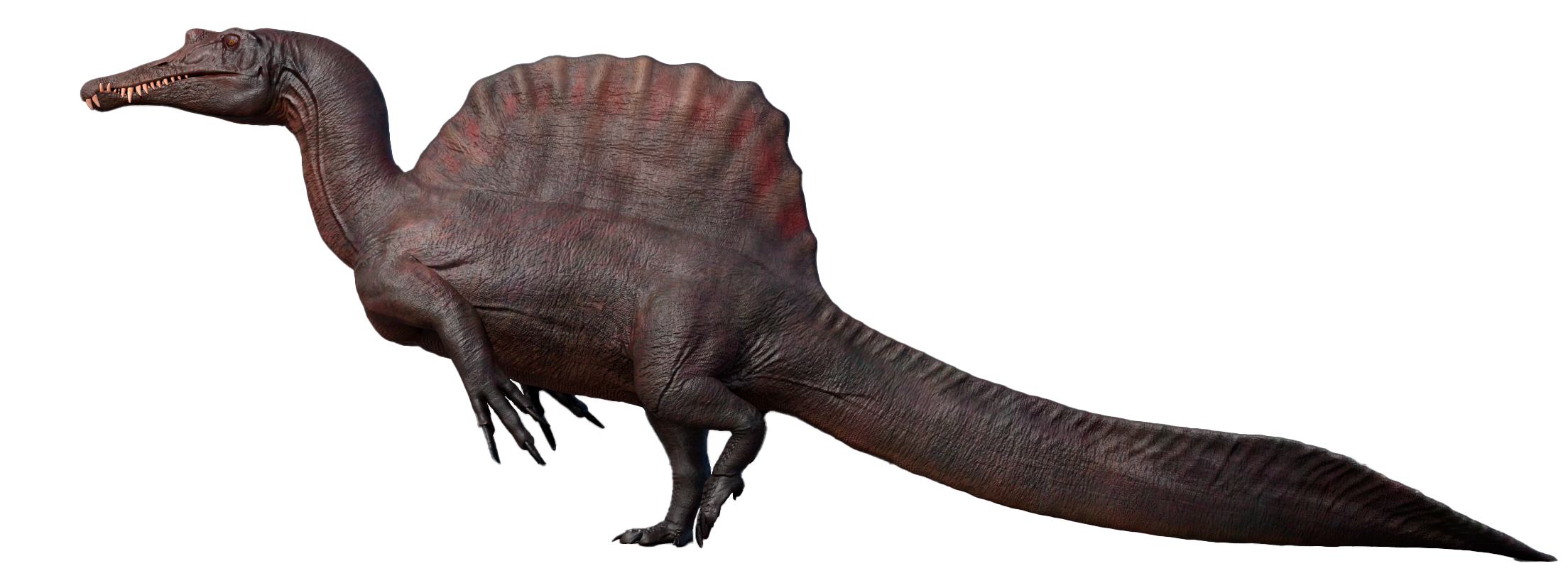 #3 - Spinosaurus: The Size That Has Flip-Flopped for Two Decades