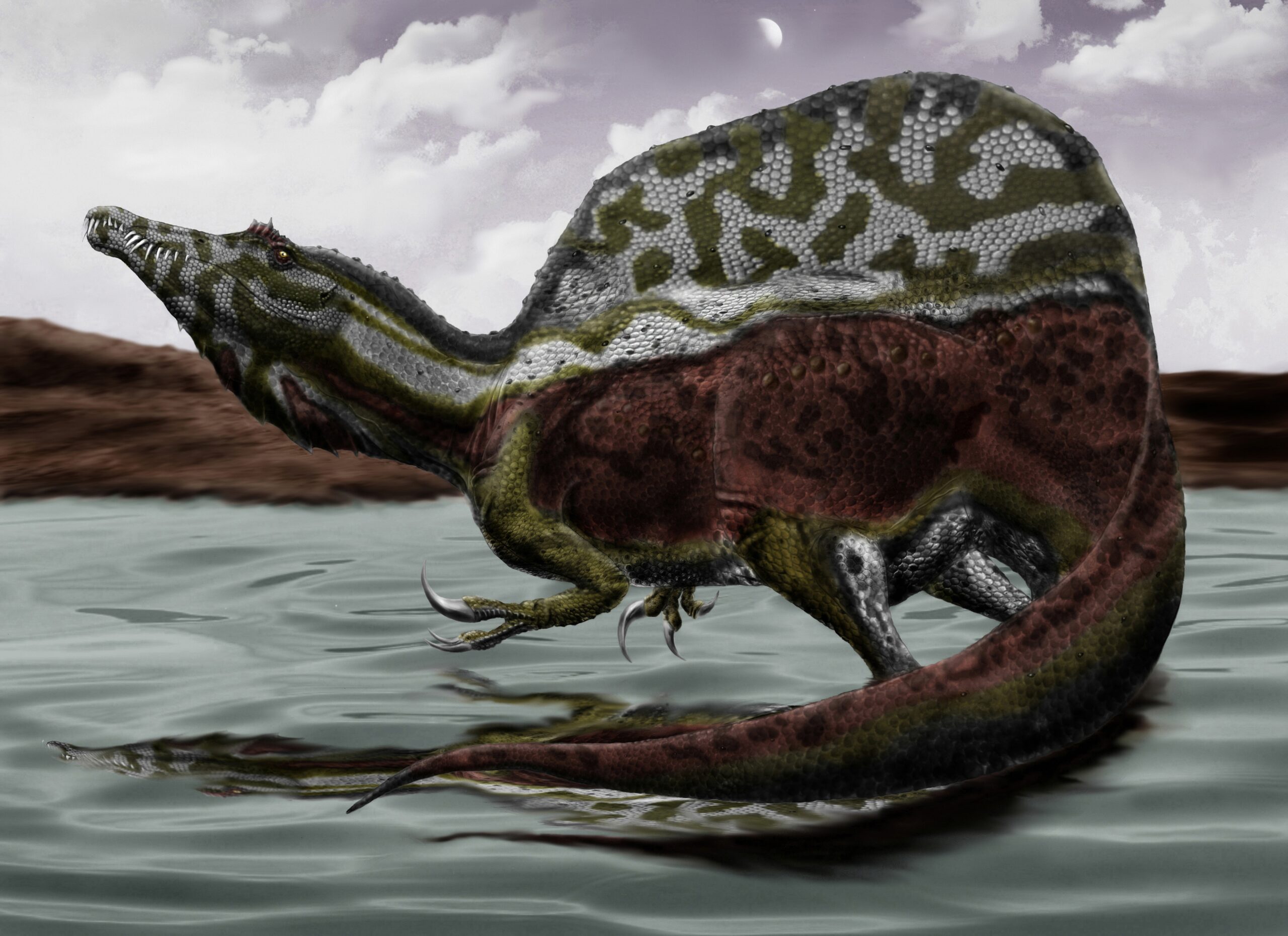 #3 - Meeting a Spinosaurus Would Have Been a Coin Flip Compared to Meeting a T. Rex
