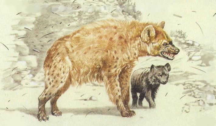#14 - Cave Hyena: The Bone-Crushing Scavenger We Wrote Off Too Fast 