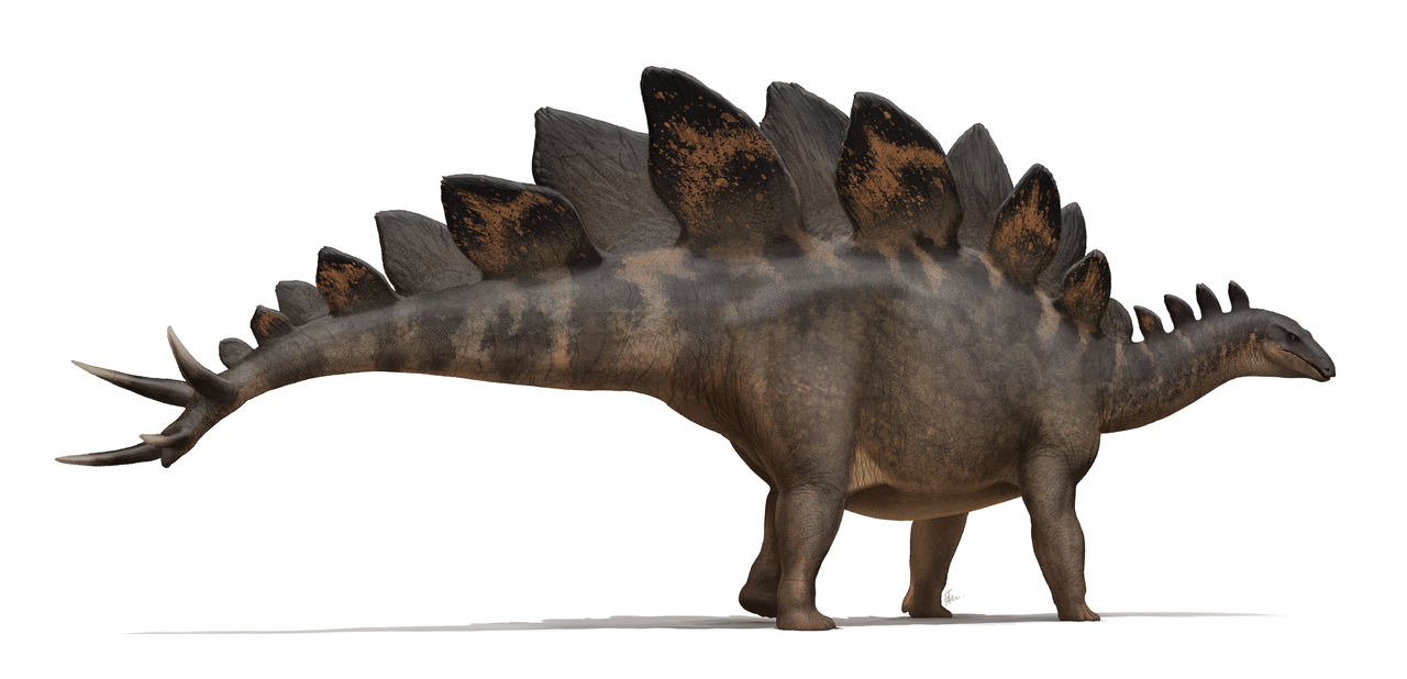 Virgo - Stegosaurus, the meticulous survivor 