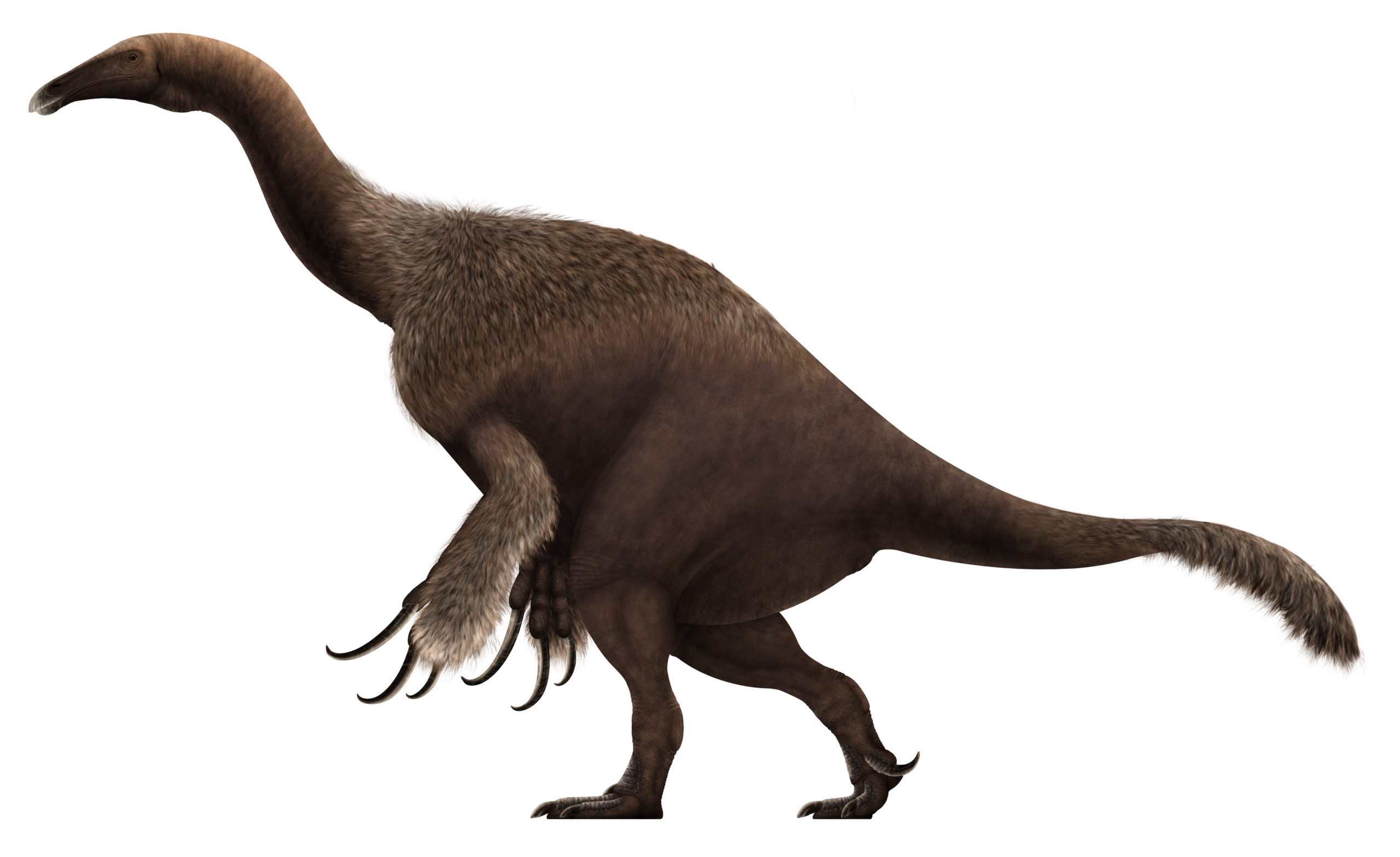 Aquarius - Therizinosaurus, the eccentric visionary 