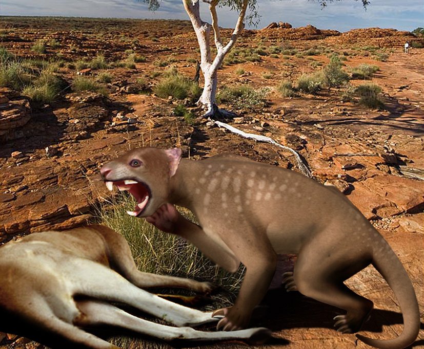 Thylacoleo: The Marsupial Lion That Should Be Famous