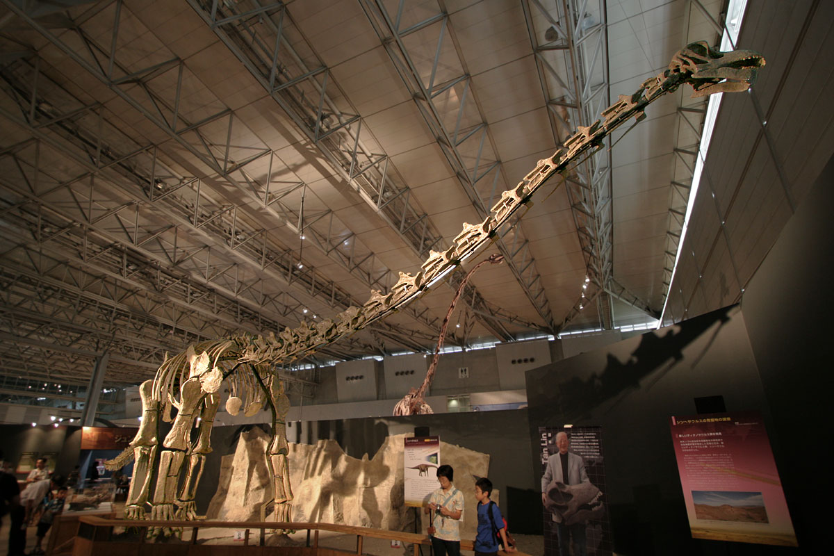 #6 - Titanosaurus: The Sauropod Catch-All That Stopped Meaning Anything