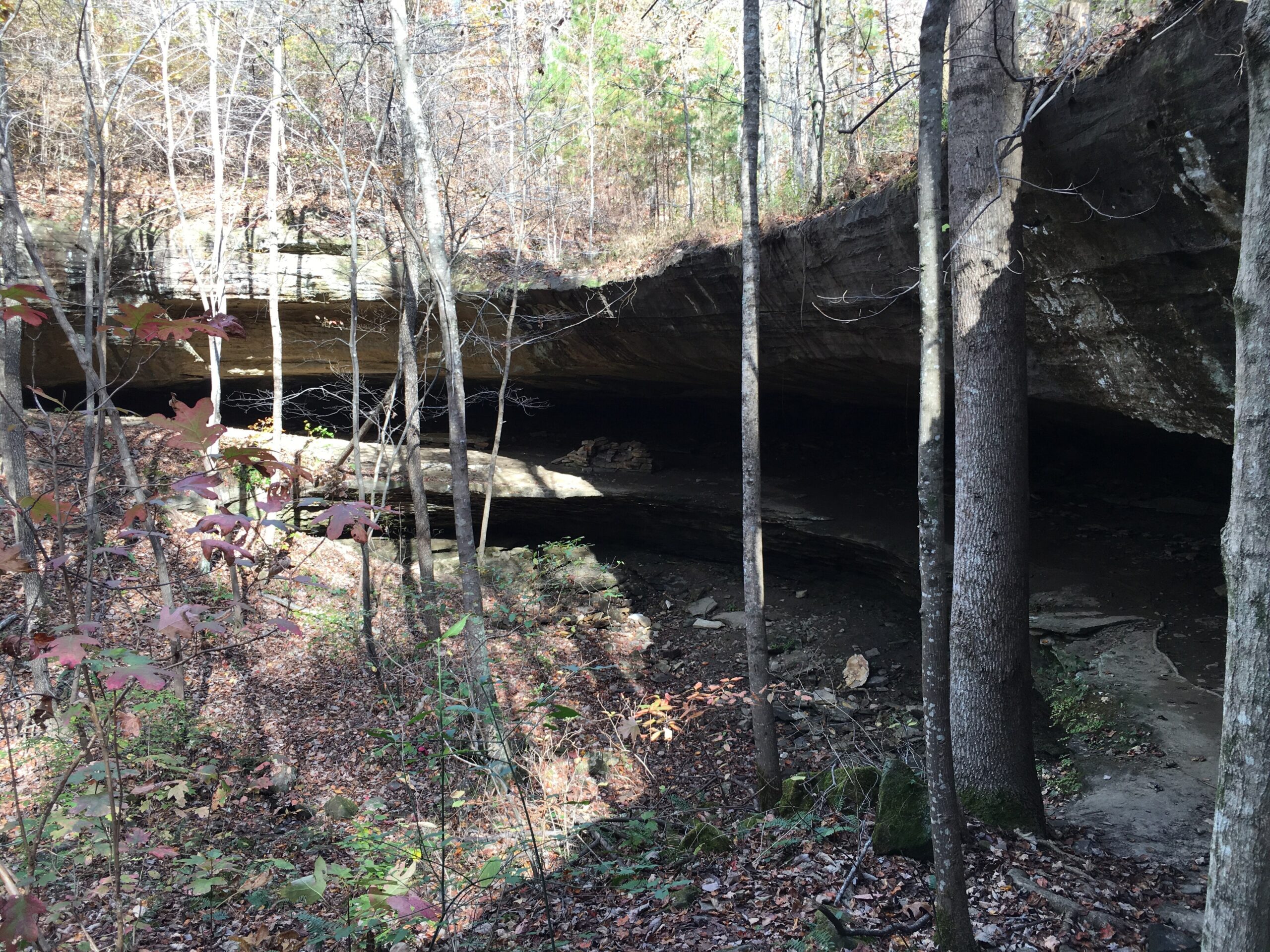 #16 - Fern Cave, Alabama