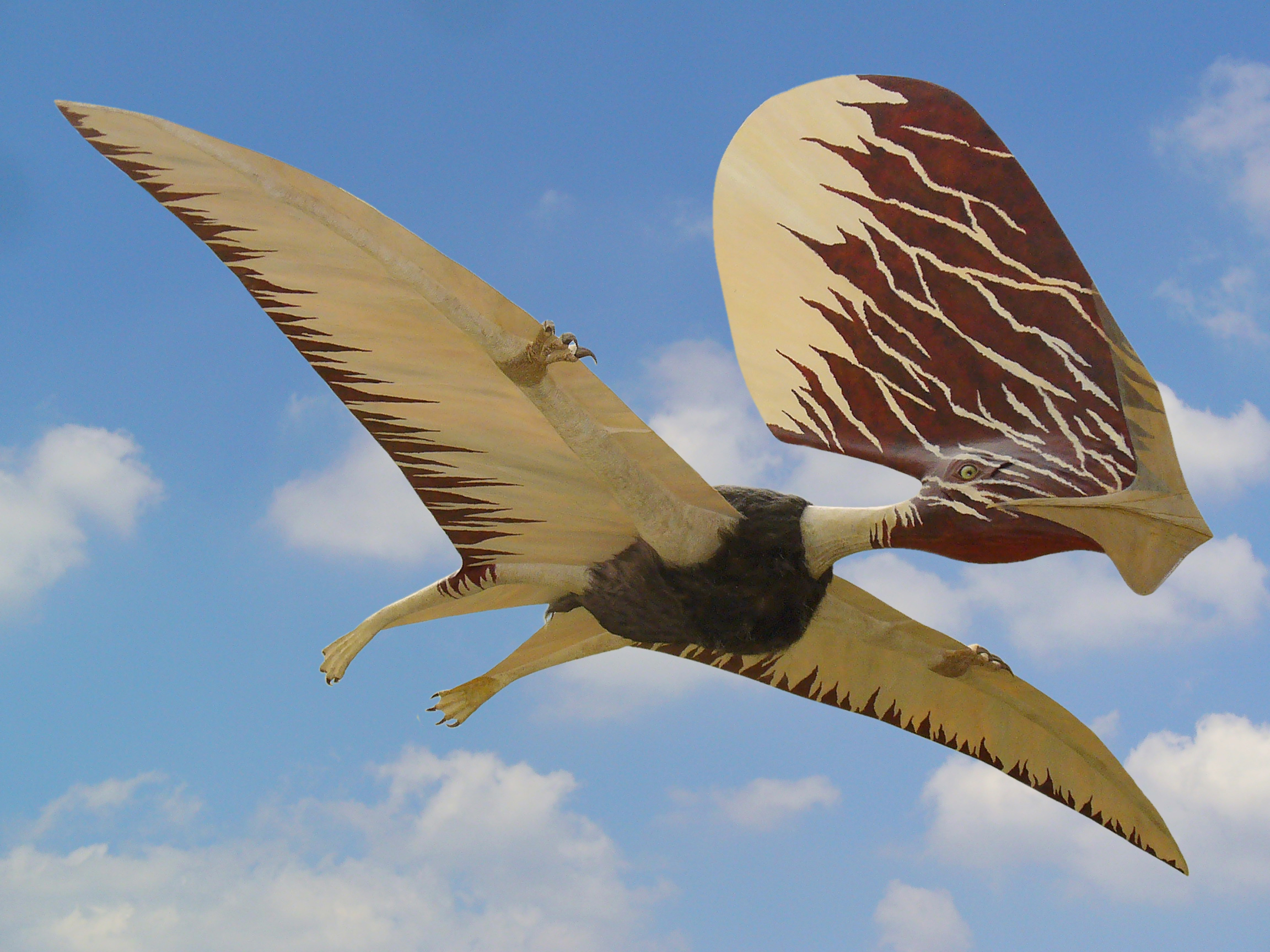 #10 - Tupandactylus, the Pterosaur Wearing a Sailboat on Its Head