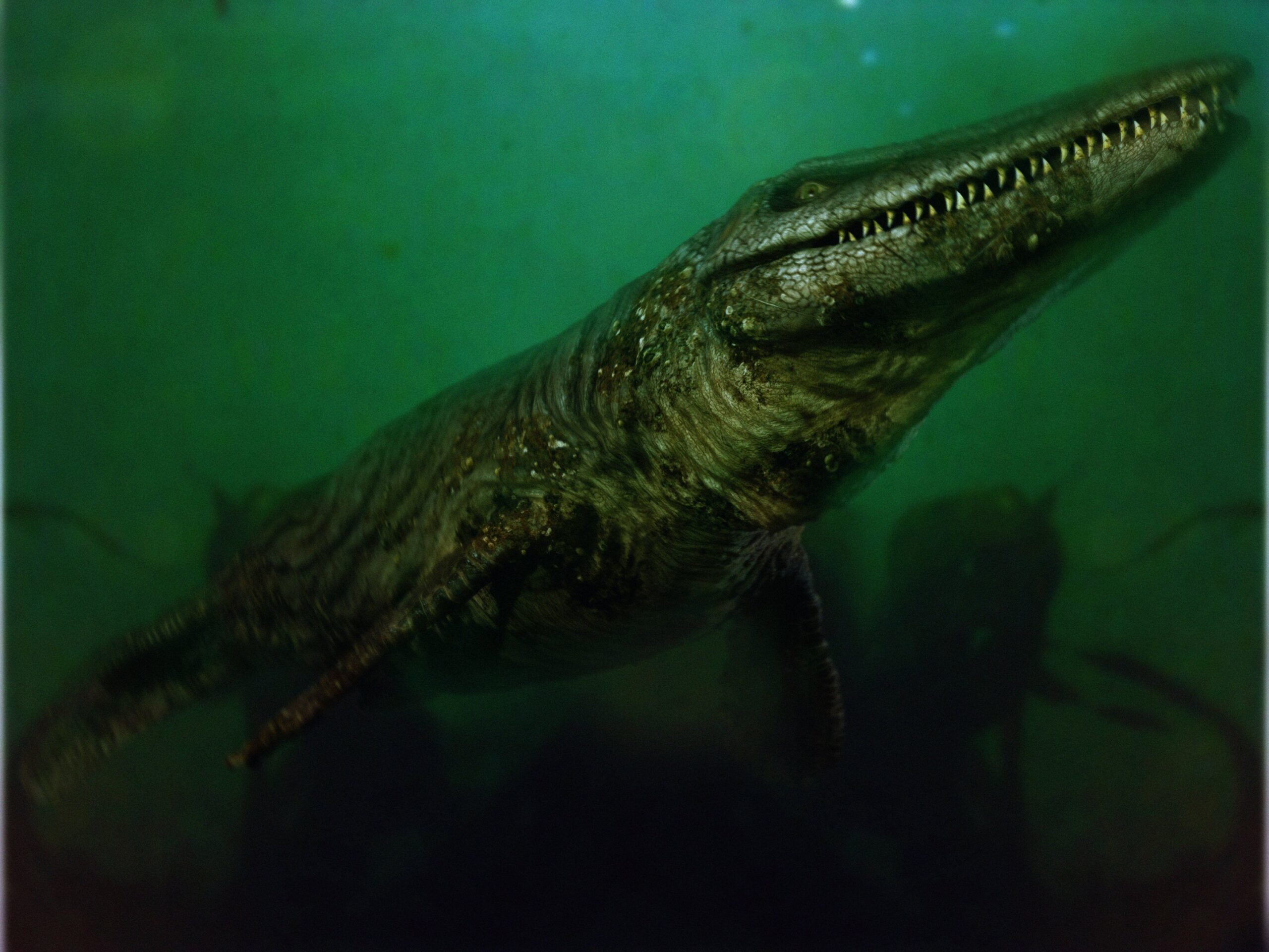 Tylosaurus: The High-Speed Missile of the Western Interior Seaway 