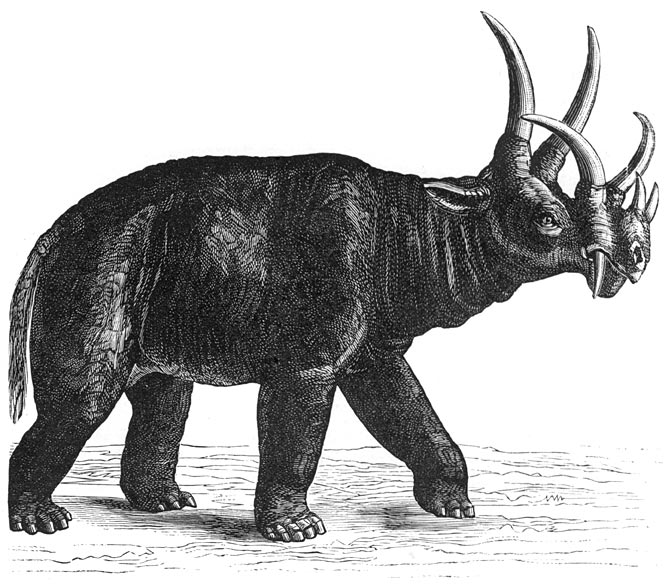 #14 - Uintatherium, the "Budget Rhino" Nobody Wants to Explain 