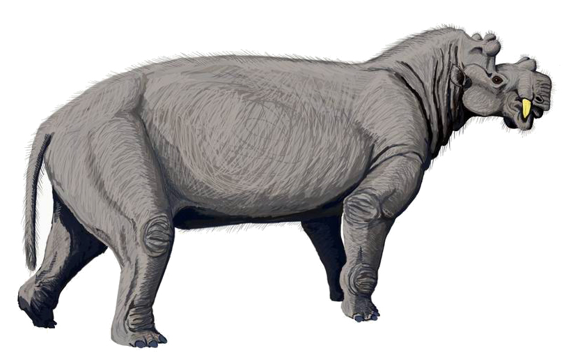 #14 - Uintatherium and the Bone Wars Naming Pile-Up