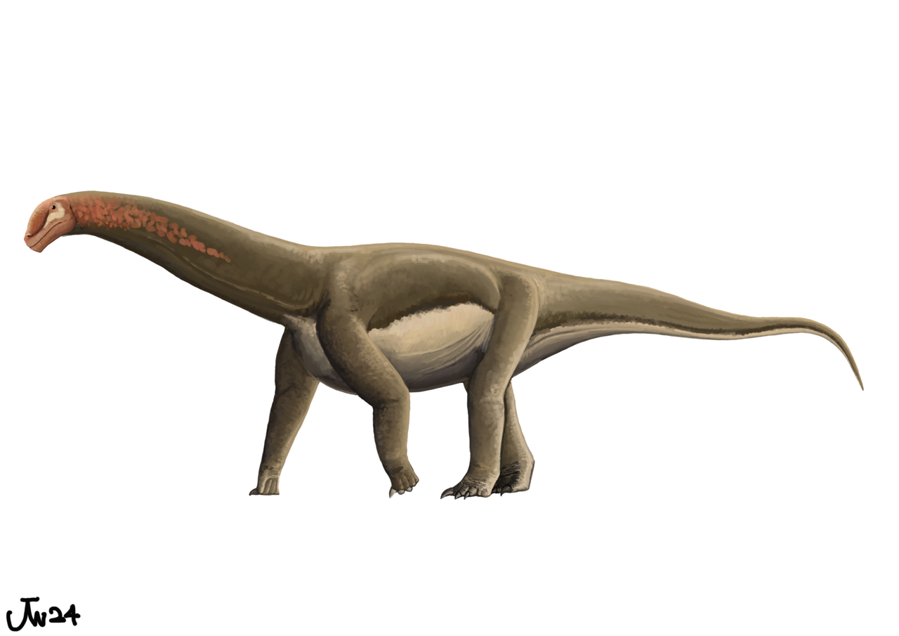 #19 - Vulcanodon karibaensis: A Giant Sauropod With No Head