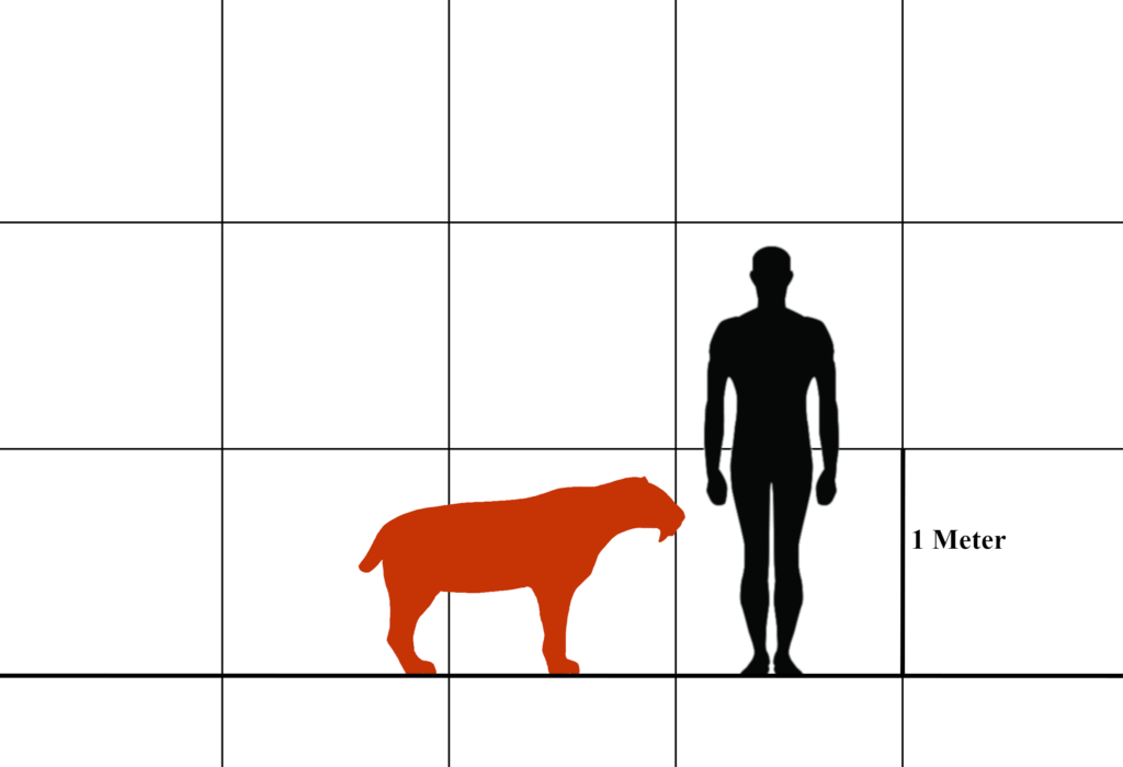 8 Prehistoric Creatures That Were Surprisingly Small Despite Their Fearsome Reputation
