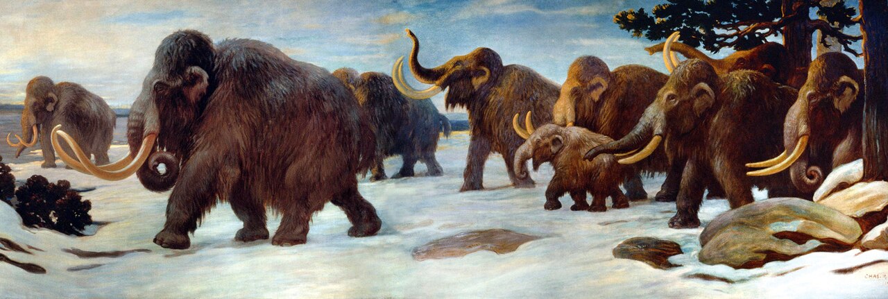 #7 - Feet Built Like Built-In Snowshoes 