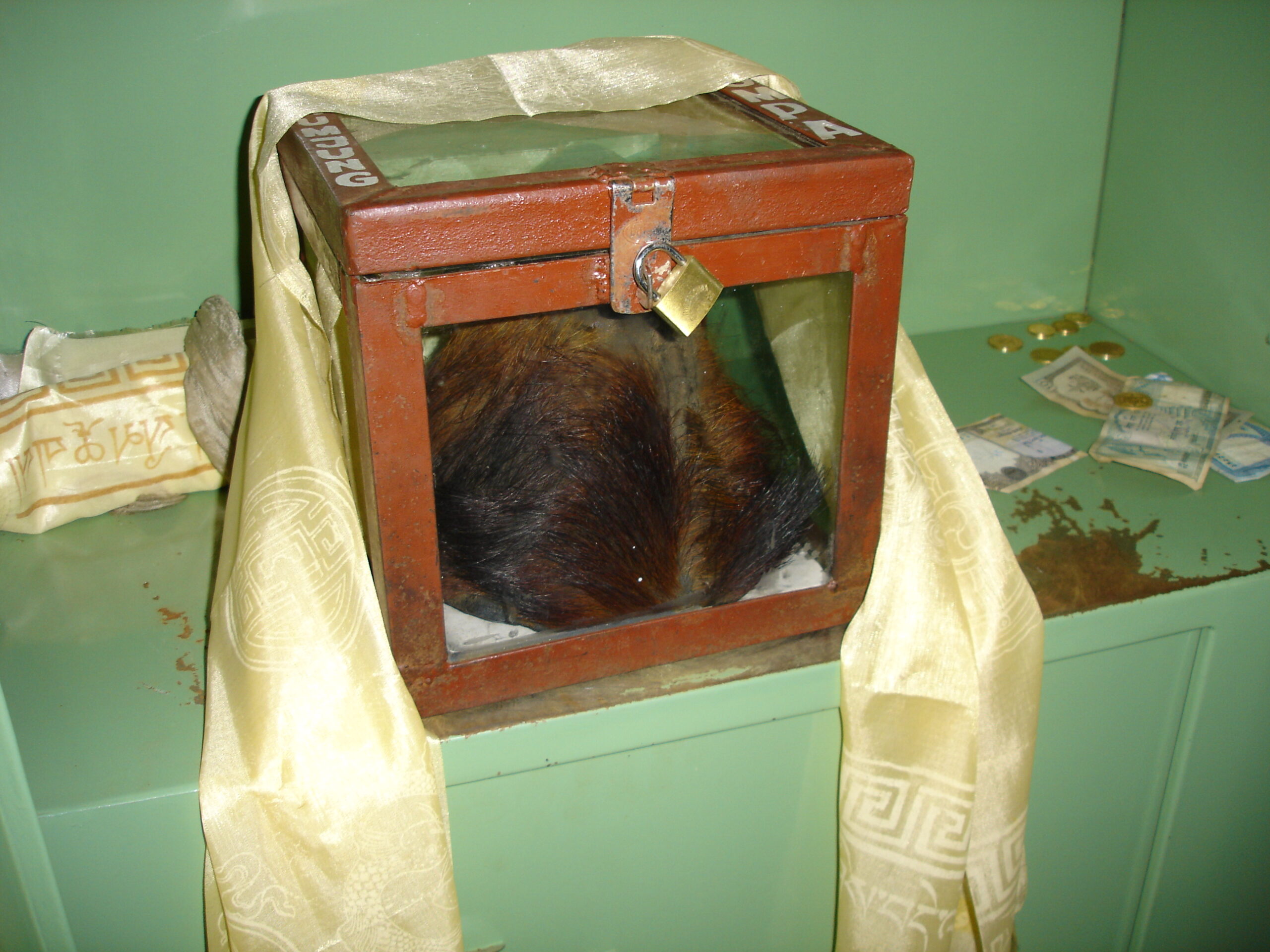 #7 – The Yeti Scalp Relics of Pangboche and Khumjung 