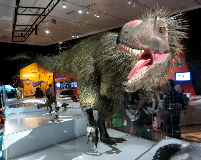 7. Yutyrannus: The Giant Feathered Tyrant That Challenged T. rex Imagery