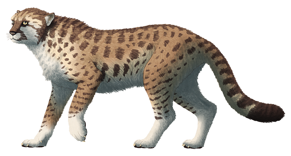 #11 - The American Cheetah That Wasn't Actually a Cheetah 