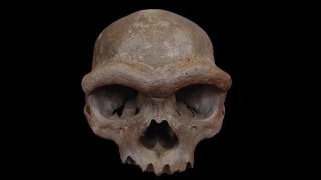 #1 - The Harbin Skull, "Dragon Man," The Face Science Hid In A Well For Nearly A Century