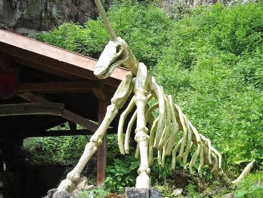 #8 - The Unicorn Skeleton a Famous Scholar Published as Fact