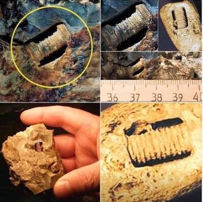 #15 - The 300-Million-Year-Old "OOPART" Problem
