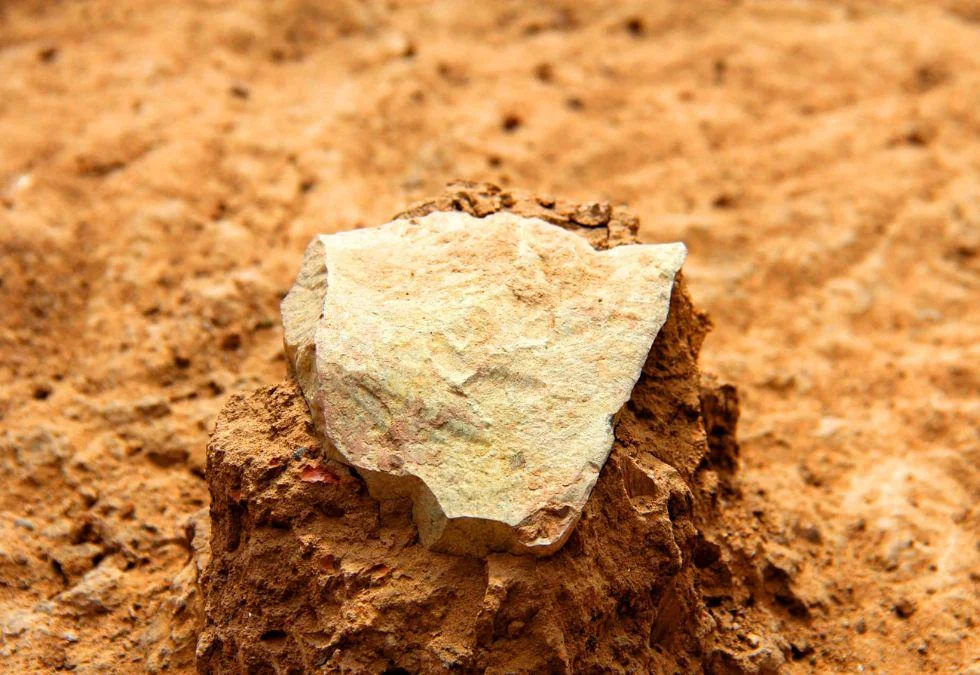 #10 - Lomekwi 3: Stone Tools Older Than the Genus Homo Itself