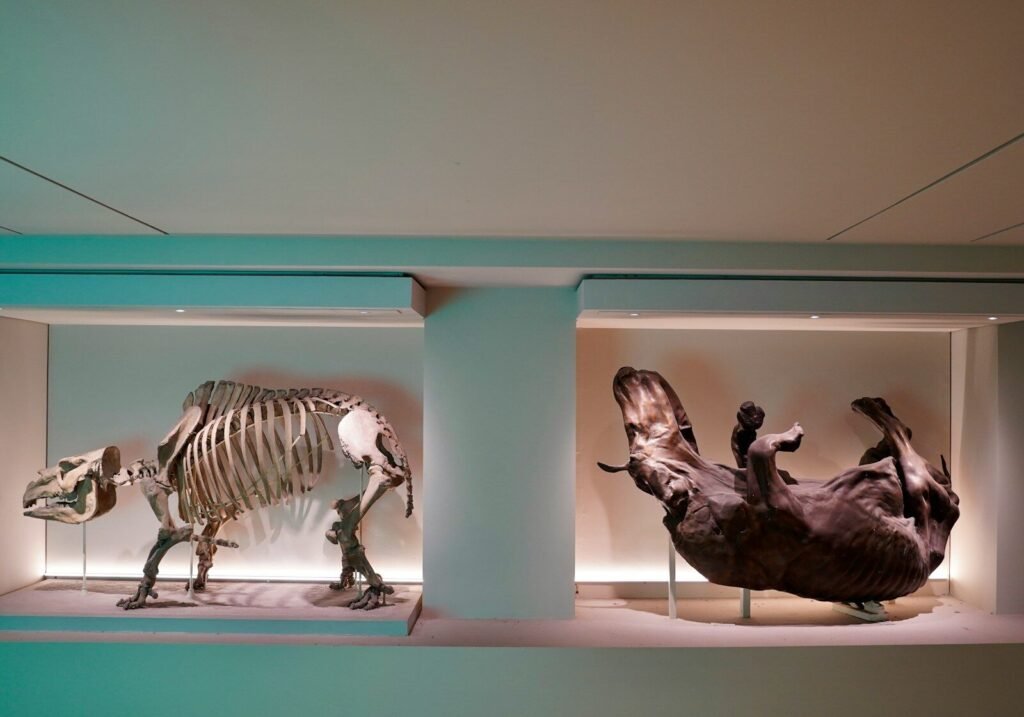 11 Famous Ancient Animal Hoaxes That Fooled Serious Institutions and Made It Into Printed Textbooks