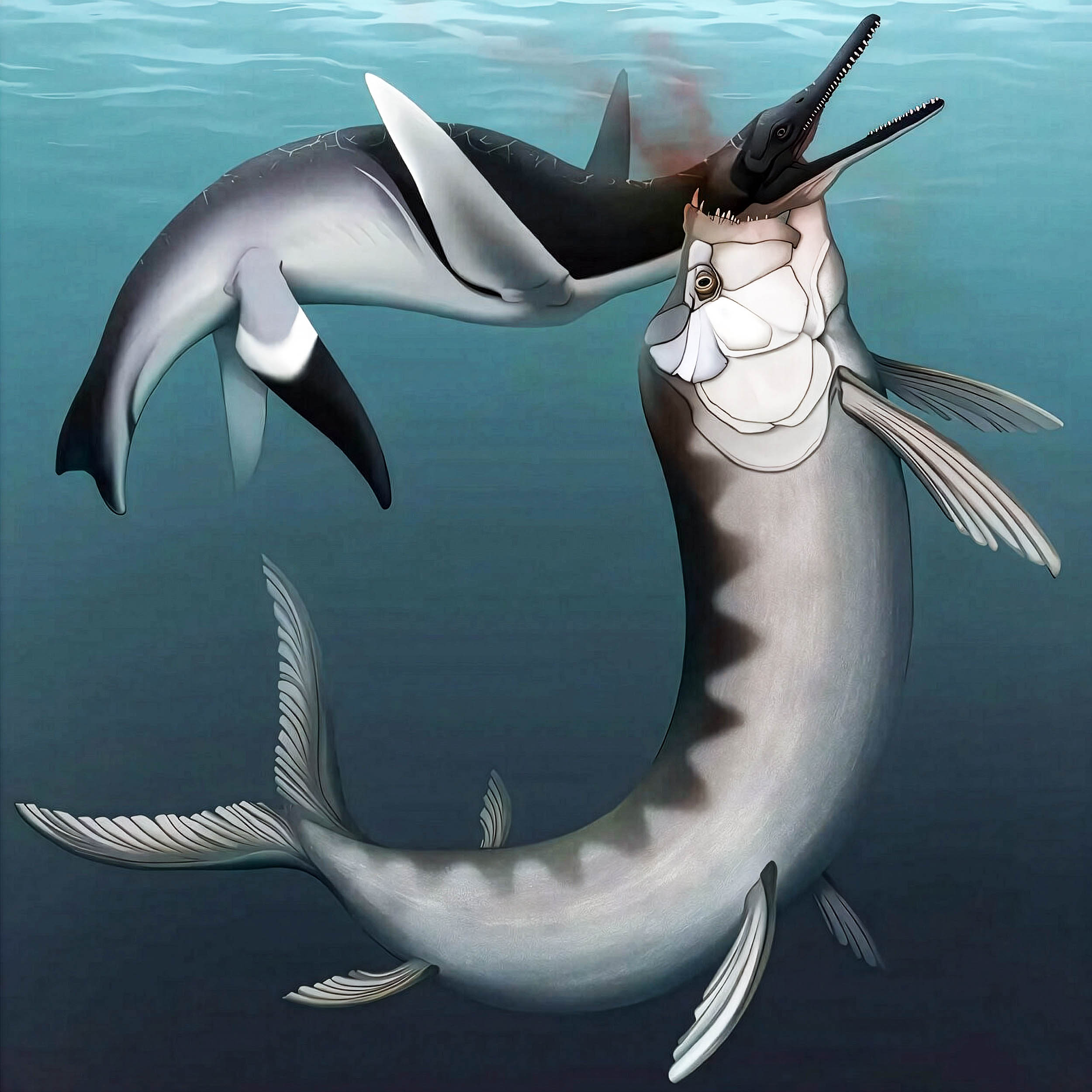 #4 - Xiphactinus, the Giant Fish That Swallowed Its Own Downfall
