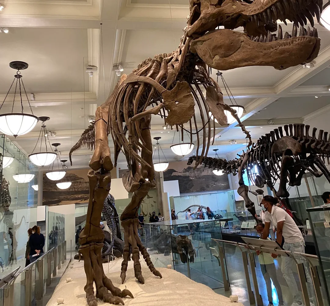 #11: Dinosaur Feet And Hands That Never Actually Existed