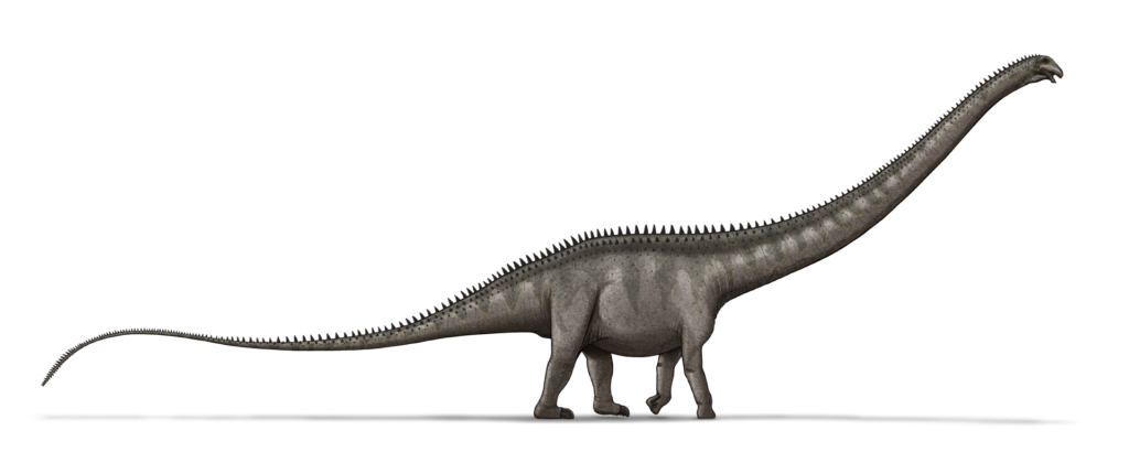 20 Extinct Animals Science Renamed Once Two Separate Finds Turned Out to Be One Animal