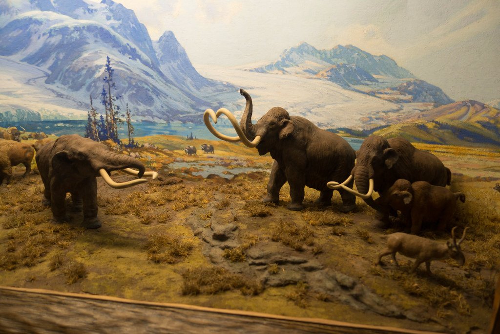 25 Things Science Quietly Stopped Teaching About Extinct Animals Once Better Evidence Arrived