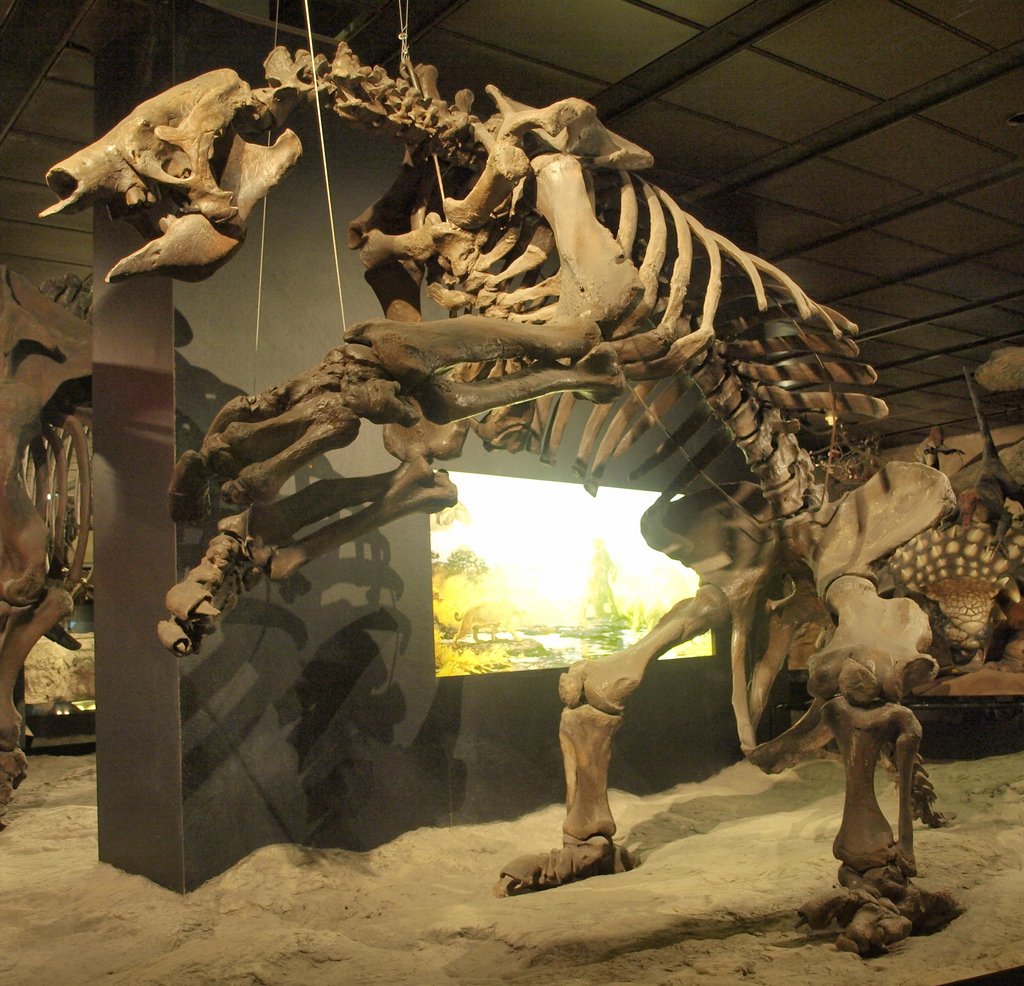 13 Ancient Animals Science Quietly Dropped and Has Still Not Publicly Explained the Reversal