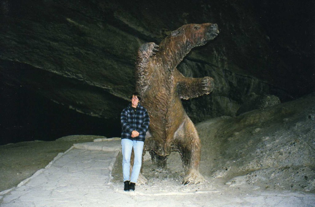 14 Things the Giant Ground Sloth Left Behind That Still Puzzle Experts