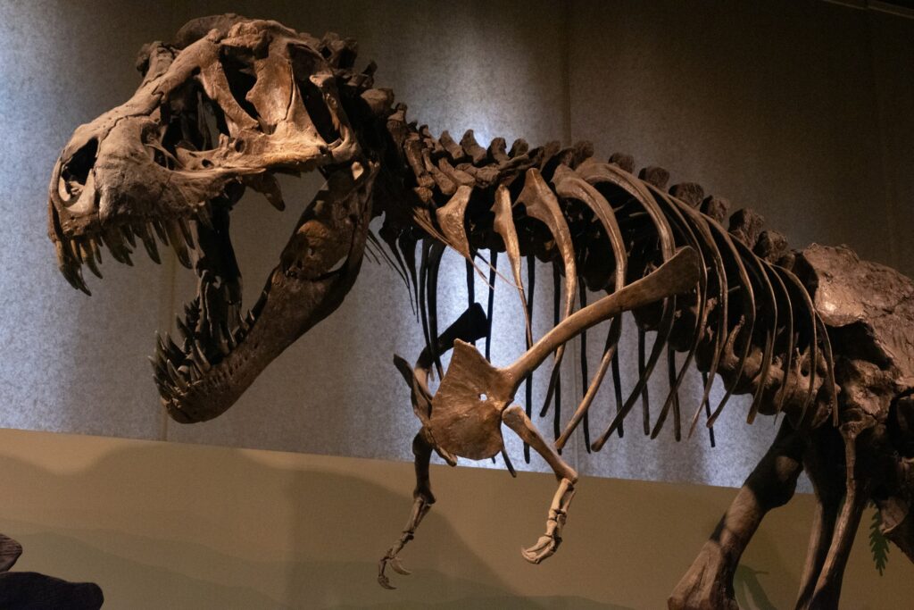 The 13 Animals Scientists Were Most Wrong About for the Longest Time