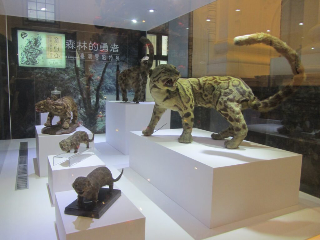 14 Animals Wiped Out Recently Enough That People Still Remember Them
