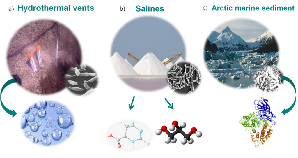 13 Things About How Life Began That Researchers Now Tell Differently