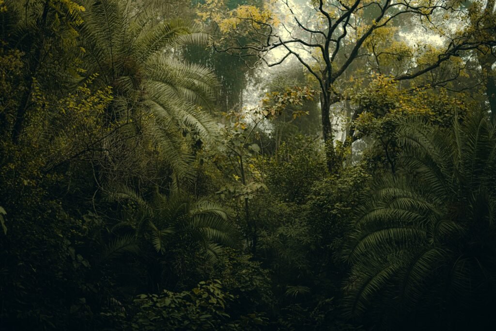 14 Things That Would Happen If You Stood in a Forest 300 Million Years Ago
