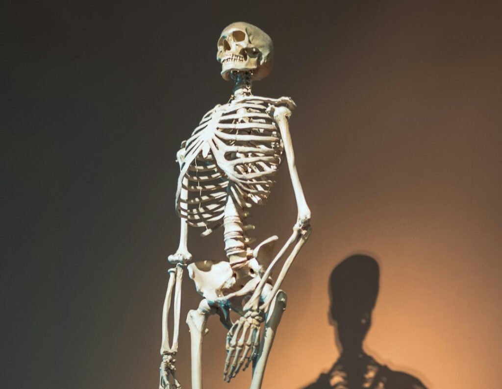 14 Things Natural History Museums Have Quietly Stopped Showing