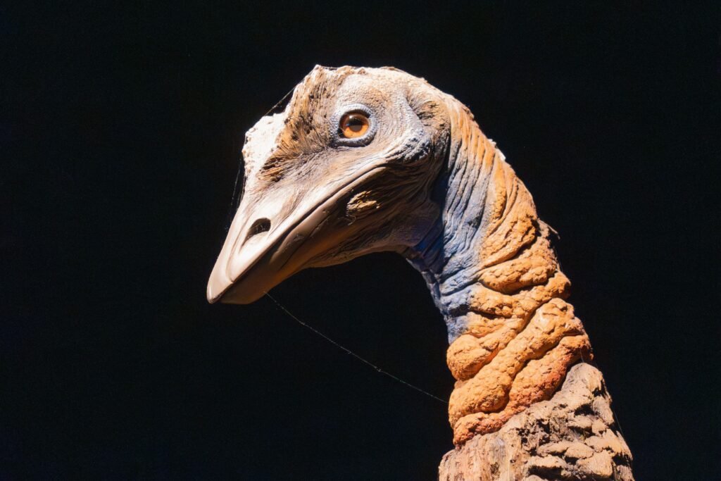 13 Things Moa Did That Took Scientists Decades to Work Out