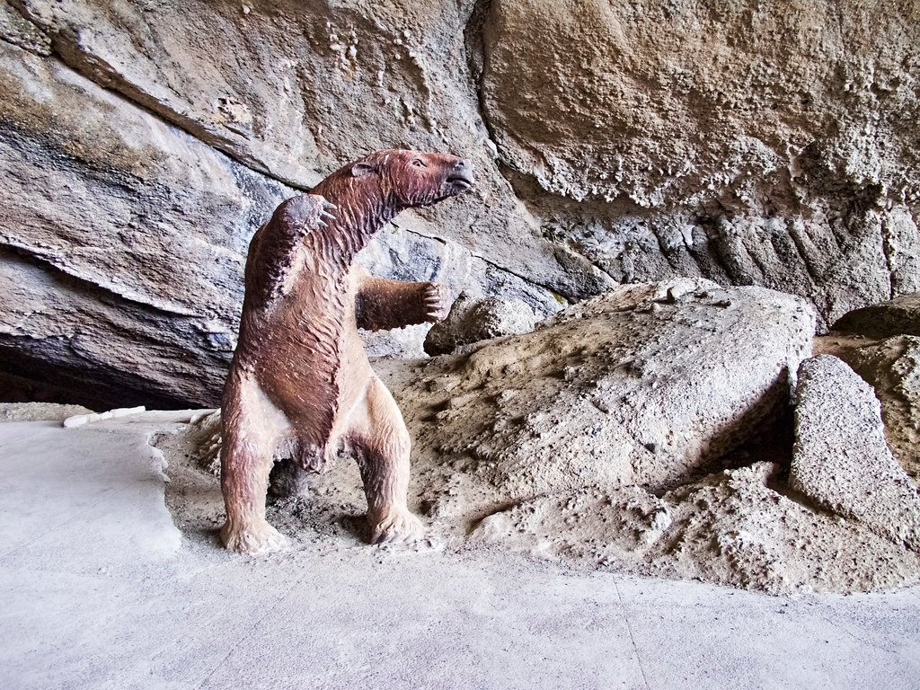 15 Things Scientists Now Believe About Giant Ground Sloth
