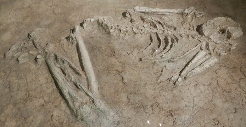 15 Things Early Humans Did That Scientists Still Can't Explain