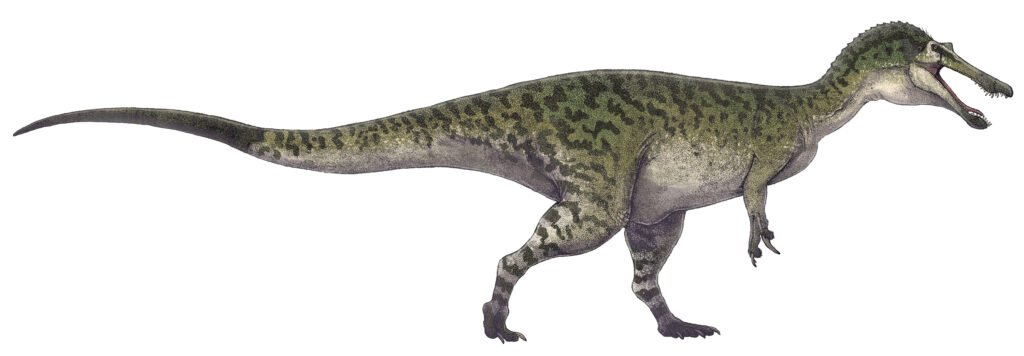 5 Things You Never Knew About The Baryonyx: A Dinosaur That Fished For Food