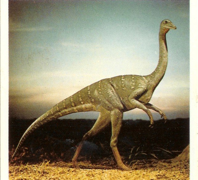 Top 8 Fastest Dinosaurs To Ever Walk The Earth