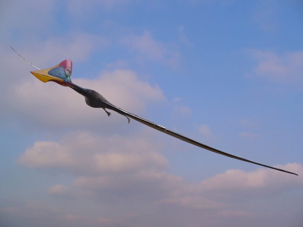 The Fastest Flying Dinosaur