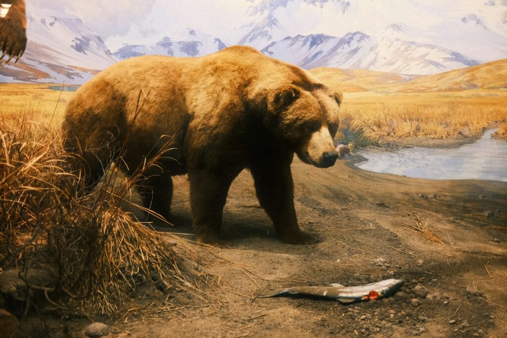 8 Ice Age Animals That Lived Alongside Humans in North America